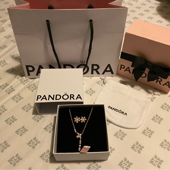 Pandora Necklace set in Pandora rose